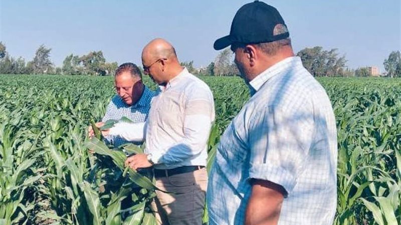 مدرية الزراعة بالغربية