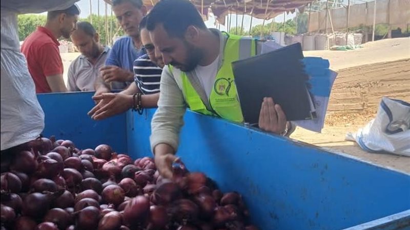 الحاصلات الزراعية