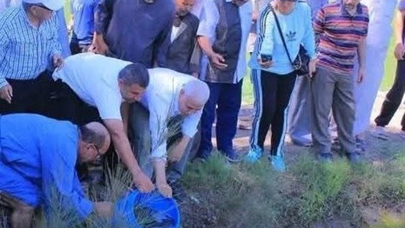 زراعة الشرقية 