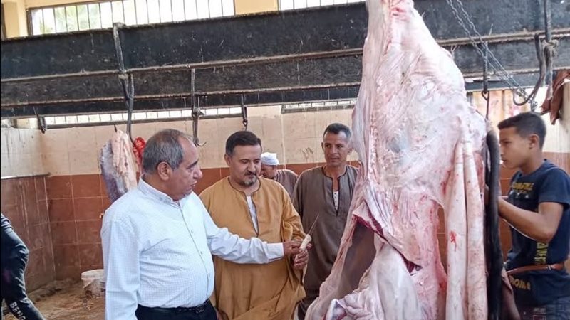 حملات رقابيه بأسيوط