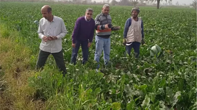 محافظ الفيوم يتابع