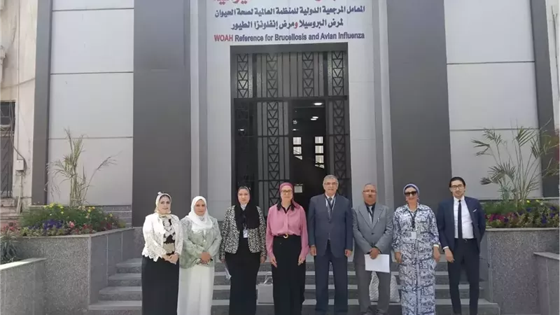 معهد بحوث الصحة الحيوانية