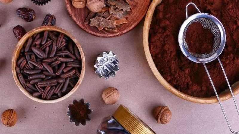 نوى البلح