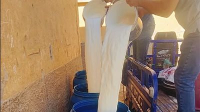 قبل طرحه بالأسواق.. ضبط 450 كيلو لبن غير صالح للاستهلاك في أسيوط