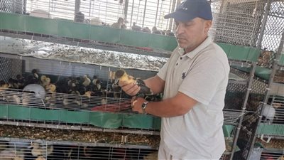 بتوجيهات فاروق.. وكيل زراعة المنوفية يفاجئ إدارة أشمون ويوجه بالتوسع في منفذ بيع الطيور