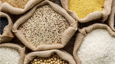 من الإنتاج إلى التوزيع.. كيف تبني مصر منظومة متكاملة لتحقيق الأمن الغذائي؟