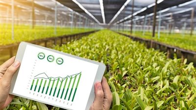 التكاليف والإنترنت يعرقلان انتشار الذكاء الاصطناعي في المزارع الأمريكية 