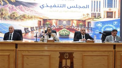 محافظ الوادي الجديد: إلغاء جميع الرسوم المقررة على محصول التمور