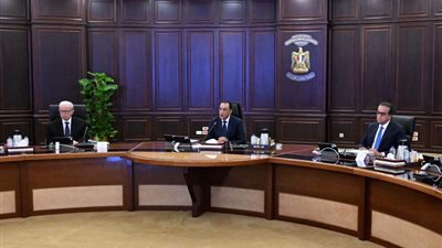مدبولي: مشروعات الإنتاج الزراعي والحيواني تعزز الأمن الغذائي.. وخطة لاستقرار أسعار السلع