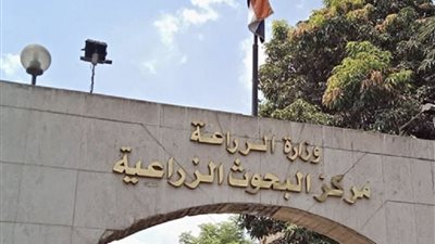 قرار حكومي بإعادة هيكلة القطاع الزراعي.. دمج الهيئة الزراعية المصرية في مركز البحوث