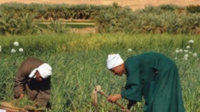 برلماني: مبادرة القرى المنتجة انطلاقة لمستقبل اقتصادي جديد للريف