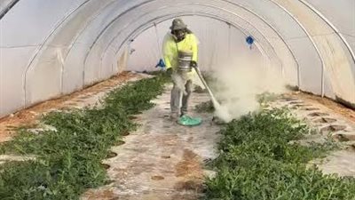 مدير المعمل المركزي للمناخ يكشف أهمية التعفير بالكبريت الزراعي لحماية إنتاجية المحاصيل