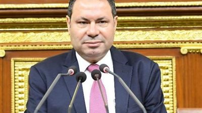 في عيد الفلاح الـ74.. برلماني: المزارع 