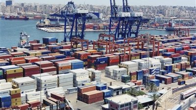 خبير: الصادرات الزراعية المصرية تغزو 167 دولة.. والجودة مفتاح المنافسة العالمية