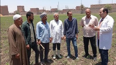 محافظ أسيوط يوجه بتكثيف التوعية البيطرية لحماية الثروة الحيوانية وتعزيز الأمن الغذائي