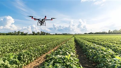 المزارع الرقمية في 2030.. كيف ستزرع الذكاء الاصطناعي غداء المستقبل؟ 