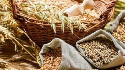 قبل بداية التداولات.. أحدث أسعار الحبوب في الأسواق العالمية اليوم