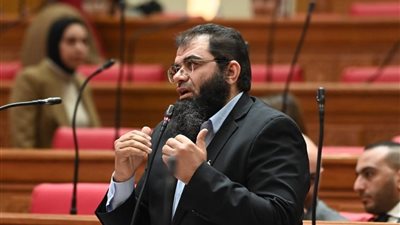 النائب حمادة سليمان يناقش مع وزير الزراعة ملفات المدارس والأسمدة وقضايا الإصلاح الزراعي