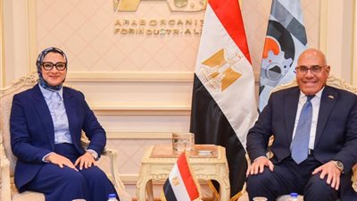 العربية للتصنيع والوادي الجديد تتوسعان في تصنيع الأخشاب من سعف النخيل وتدوير المخلفات الزراعية 