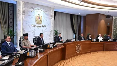 استثمارات جديدة في الأسمدة والطاقة والعقارات بقرار من مجلس الوزراء