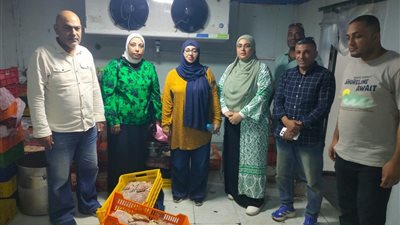 صدمة في القليوبية.. ضبط طن لحوم ودواجن فاسدة قبل وصولها للمواطنين