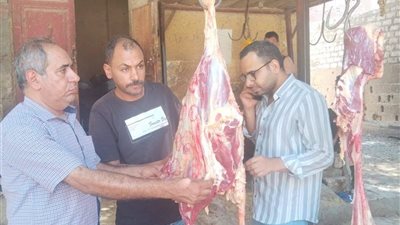 ضبط لحوم فاسدة وإعدام عجل كامل بأسيوط.. حملات بيطرية مكثفة لحماية المواطنين من الأغذية غير الصالحة