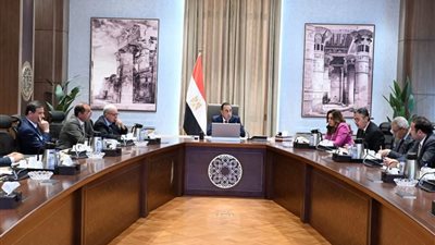 بتكليف رئاسي.. الحكومة تطلق برنامجًا وطنيًا لضبط أسعار السلع والتوسع في منافذ البيع