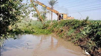 أسيوط ترفع درجة الاستعداد للري.. تطهير الترع ورفع المخلفات لضمان وصول المياه للمزارعين