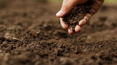 دراسة: مؤشرات جديدة لتقييم صحة التربة واستدامة الزراعة