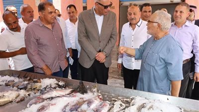محافظ جنوب سيناء يتفقد حلقة السمك بطور سيناء.. توجيهات بدعم الصيادين وتطوير منظومة الثروة السمكية