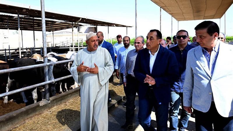 مزرعة العمار