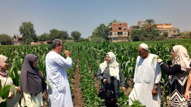 الارشاد الزراعي بالمنوفية