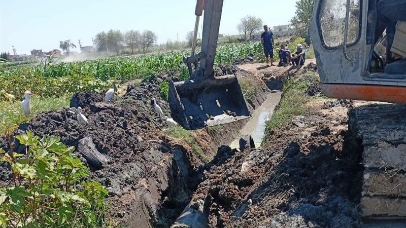 مديرية الزراعة بالبحيرة