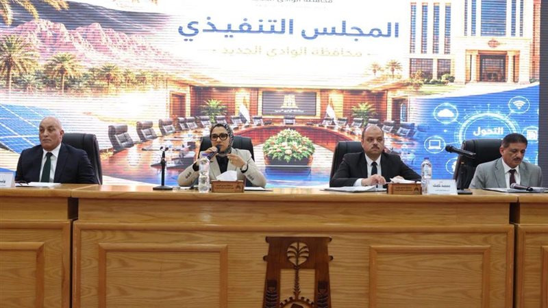 محافظ الوادي الجديد