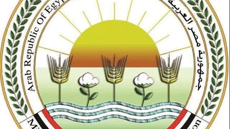 الزراعة 