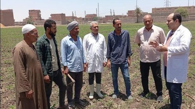 التوعية البيطرية