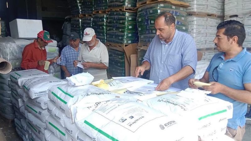 الزراعة بالمنوفية