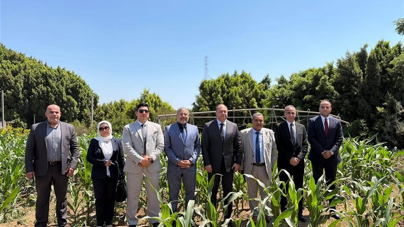 رئيس هيئة تنمية الصعيد
