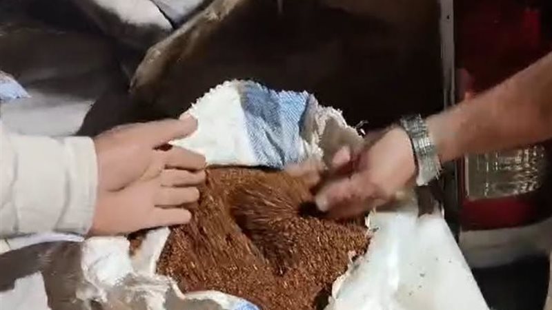 المخصبات الزراعية