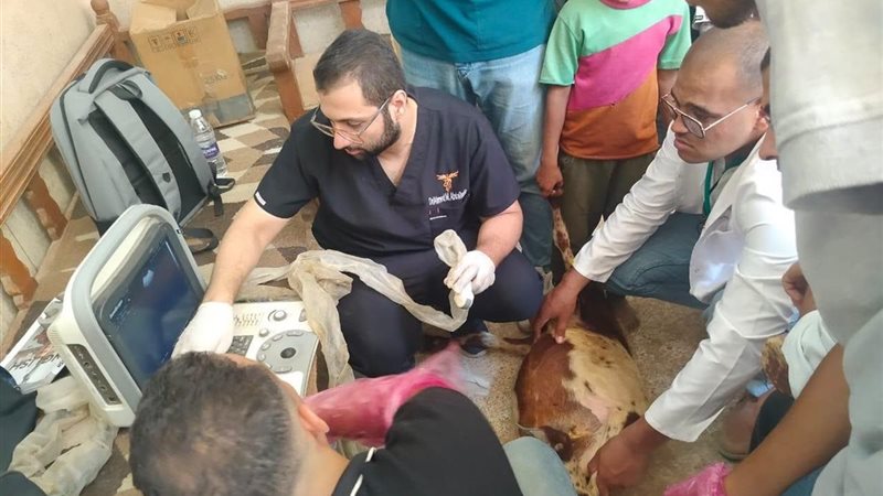 مديرية الطب البيطري