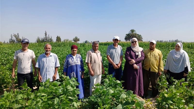 زراعة الإسماعيلية