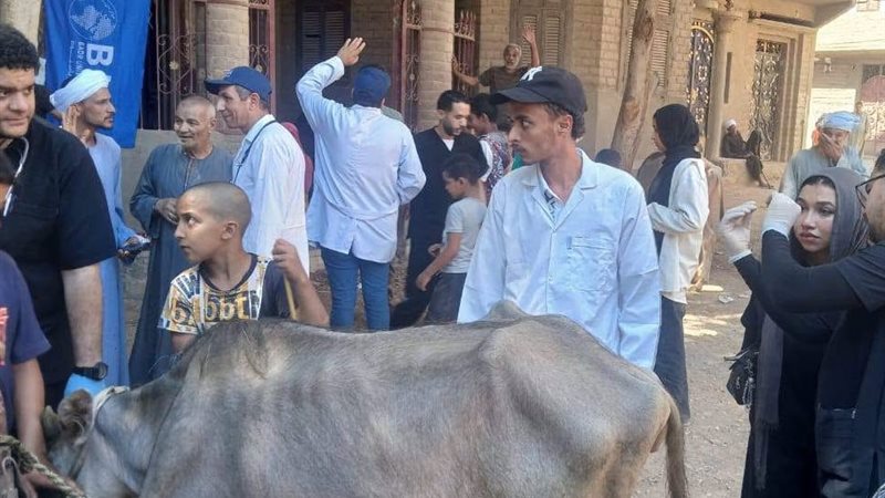 قافلة بيطرية بأسيوط