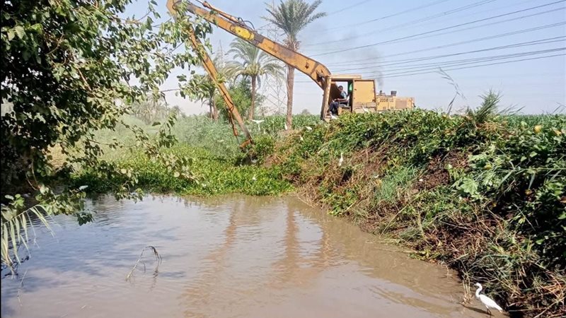 زراعة أسيوط 