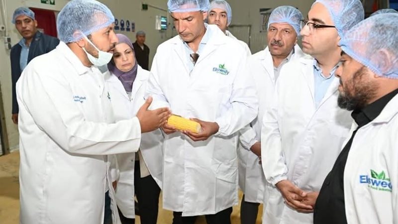 وزير الصناعة يتفقد
