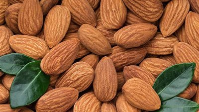 اللوز.. محصول ذهبي يواجه تحديات المناخ في المنطقة العربية