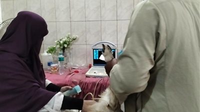 الطب البيطري بالقاهرة يواصل جهوده الميدانية.. علاج 29 حيوانًا وتحصين 140 أرنبًا ضد الأمراض
