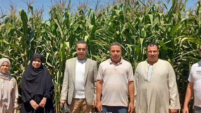 الإرشاد الزراعي يكثف متابعة حقول ترشيد الري بالمنوفية لرفع الإنتاجية وخفض استهلاك المياه