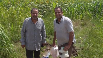 زراعة المنوفية تنظم قافلة إرشادية متكاملة بقرية شنوان لدعم الإنتاج النباتي والحيواني