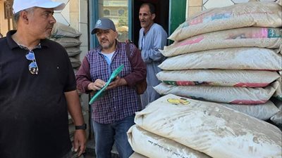 الزراعة تضبط 880 عبوة مبيدات مغشوشة في بني سويف والفيوم وتحيل المخالفين للنيابة