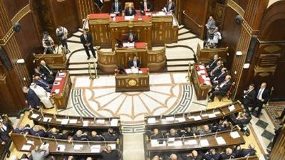 برلماني: اجتماع الرئيس بشأن الأمن الغذائي يؤكد حرص الدولة على استقرار الأسواق وتعزيز الحماية الاجتماعية